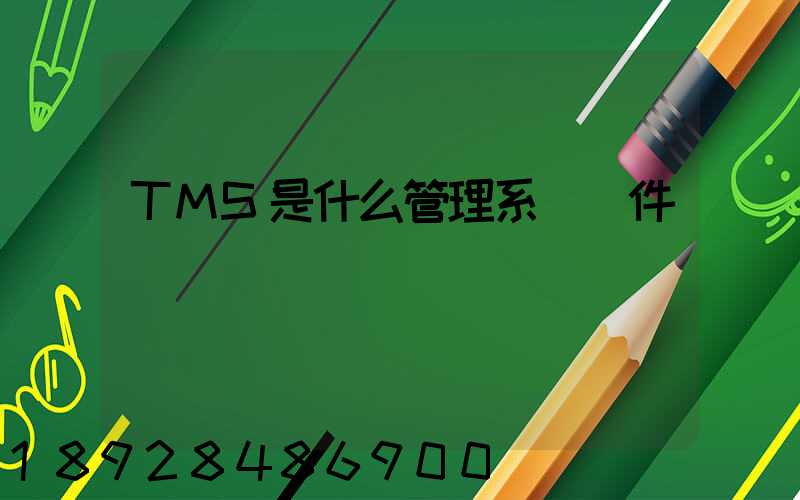 TMS是什么管理系統軟件