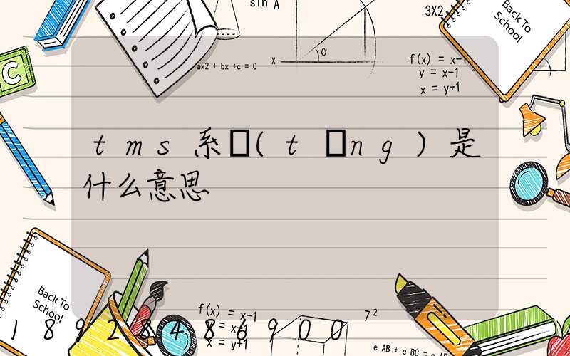 tms系統(tǒng)是什么意思