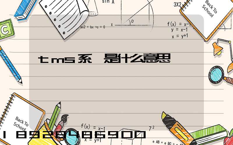 tms系統是什么意思