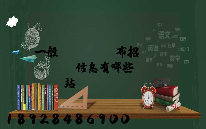 一般發(fā)布招標(biāo)信息有哪些網(wǎng)站