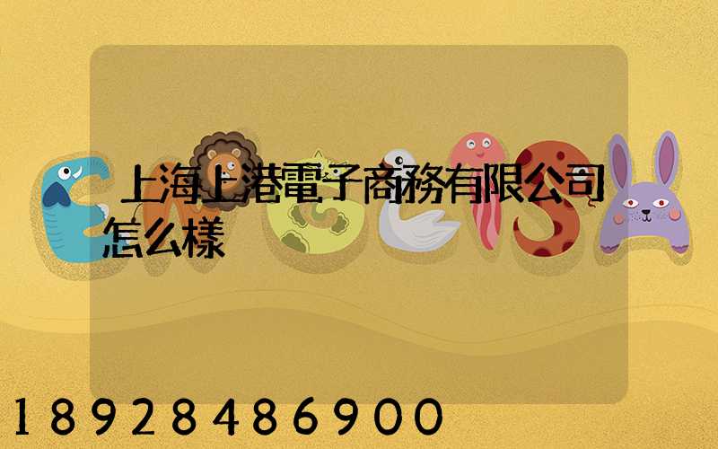 上海上港電子商務有限公司怎么樣