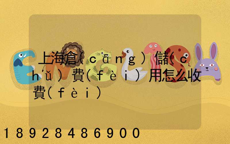 上海倉(cāng)儲(chǔ)費(fèi)用怎么收費(fèi)