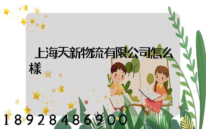 上海天新物流有限公司怎么樣