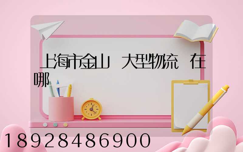 上海市金山區大型物流園在哪