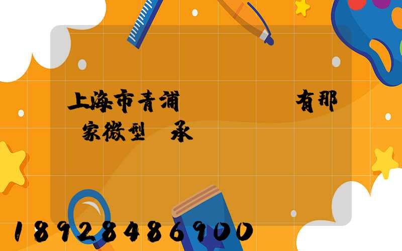 上海市青浦區(qū)有那幾家微型軸承廠