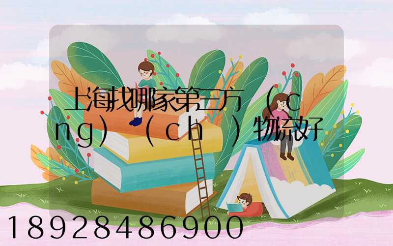 上海找哪家第三方倉(cāng)儲(chǔ)物流好