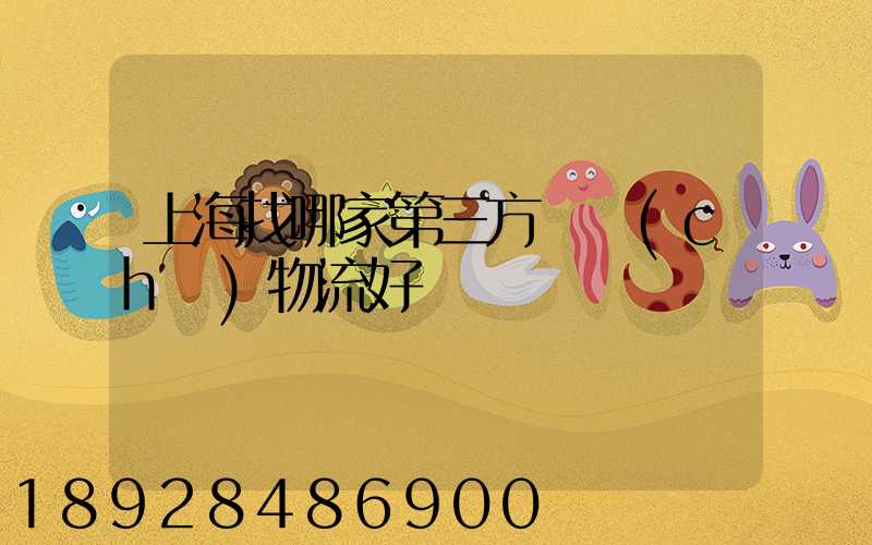 上海找哪家第三方倉儲(chǔ)物流好