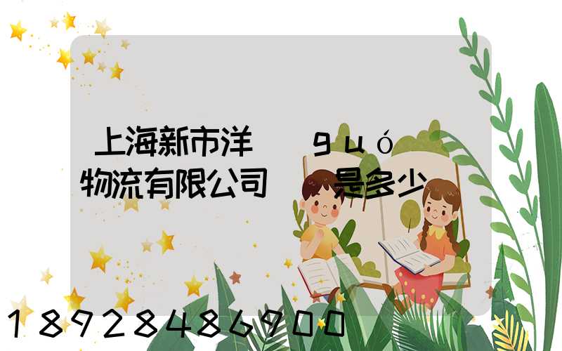 上海新市洋國(guó)際物流有限公司電話是多少