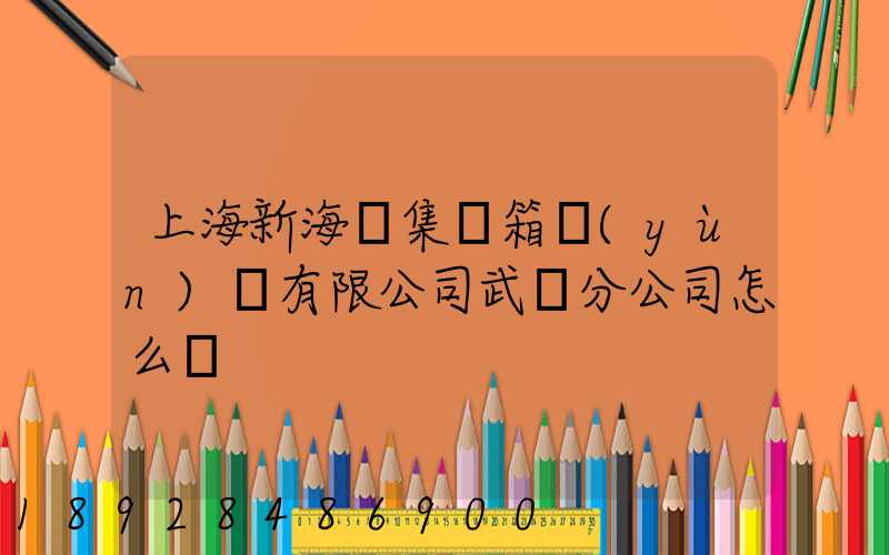 上海新海豐集裝箱運(yùn)輸有限公司武漢分公司怎么樣