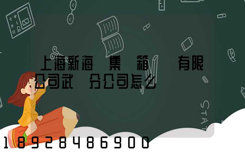 上海新海豐集裝箱運輸有限公司武漢分公司怎么樣