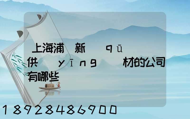 上海浦東新區(qū)墊資供應(yīng)鋼材的公司有哪些