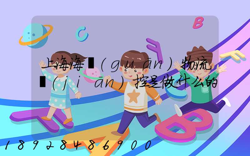 上海海關(guān)物流監(jiān)控是做什么的