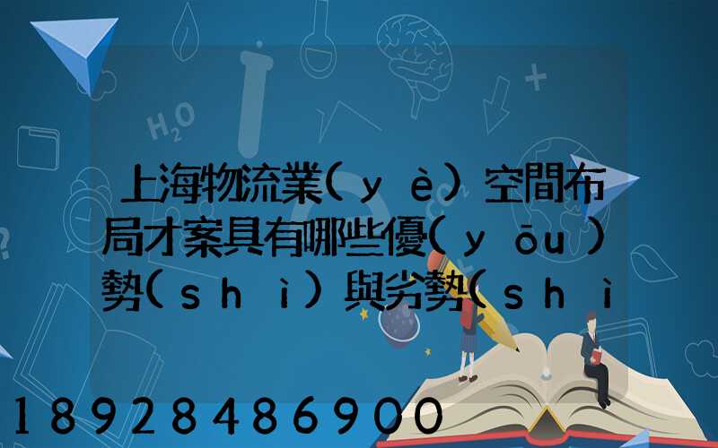 上海物流業(yè)空間布局才案具有哪些優(yōu)勢(shì)與劣勢(shì)