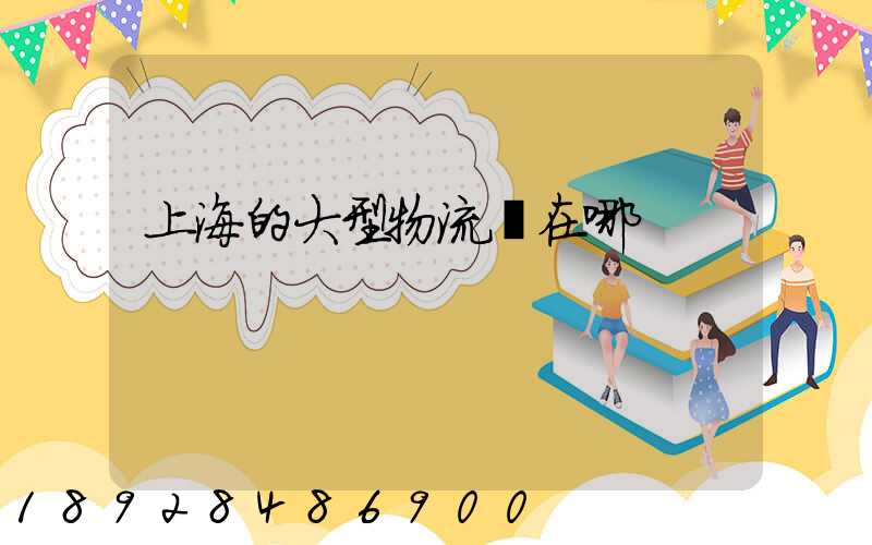 上海的大型物流園在哪