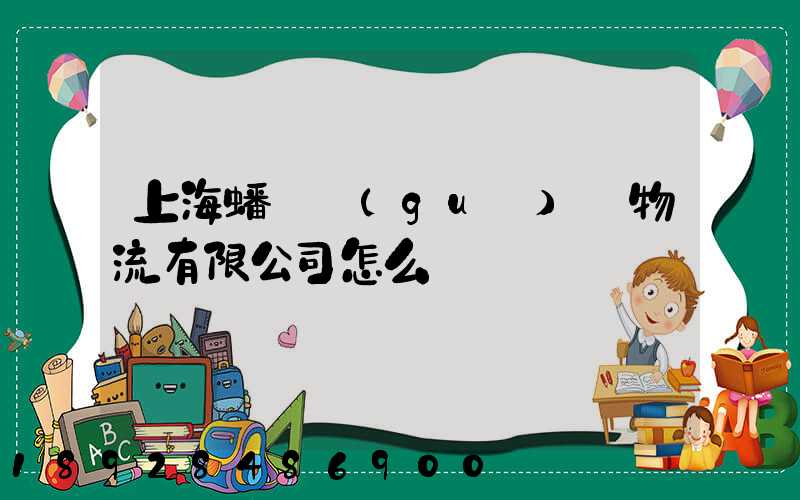 上海蟠龍國(guó)際物流有限公司怎么樣