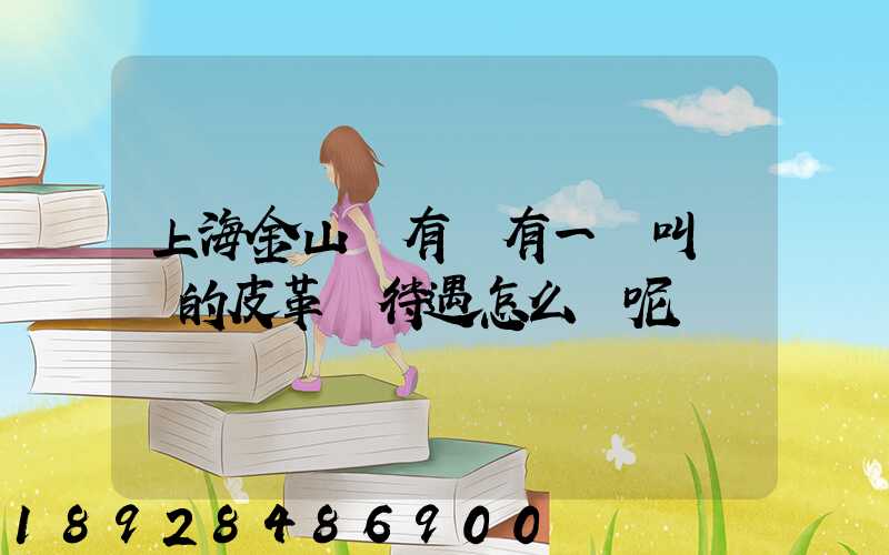 上海金山區有沒有一個叫華豐的皮革廠待遇怎么樣呢