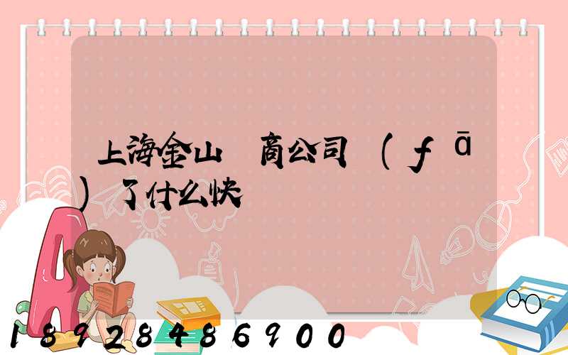 上海金山電商公司發(fā)了什么快遞