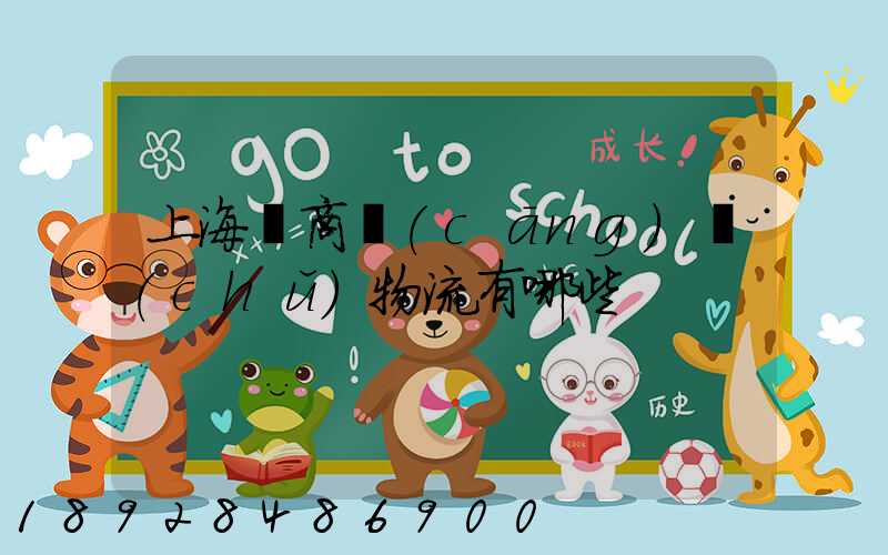 上海電商倉(cāng)儲(chǔ)物流有哪些