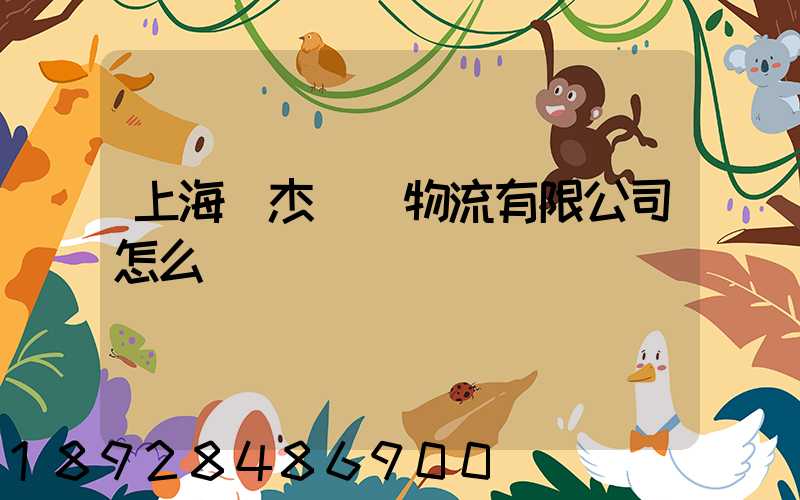 上海鴻杰國際物流有限公司怎么樣