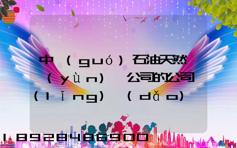 中國(guó)石油天然氣運(yùn)輸公司的公司領(lǐng)導(dǎo)