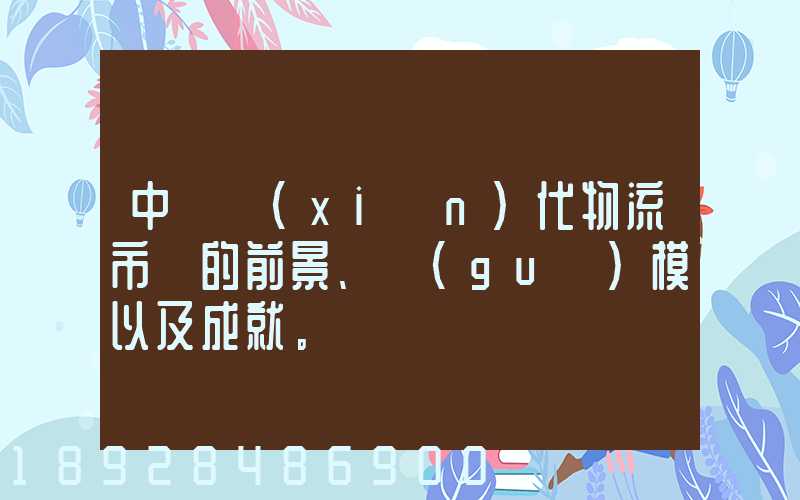 中國現(xiàn)代物流市場的前景、規(guī)模以及成就。