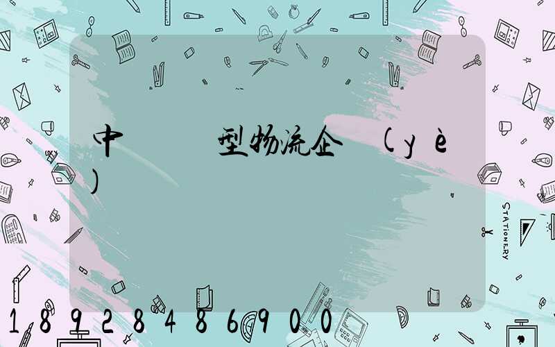 中國運輸型物流企業(yè)