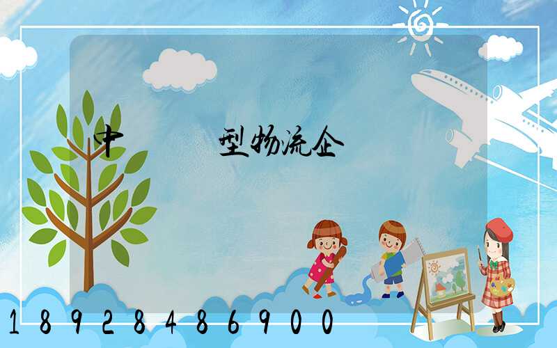 中國運輸型物流企業