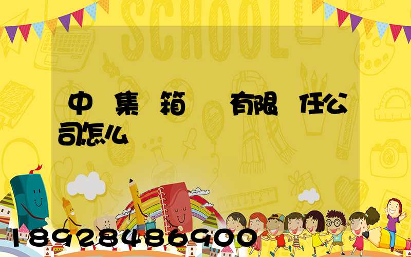 中鐵集裝箱運輸有限責任公司怎么樣