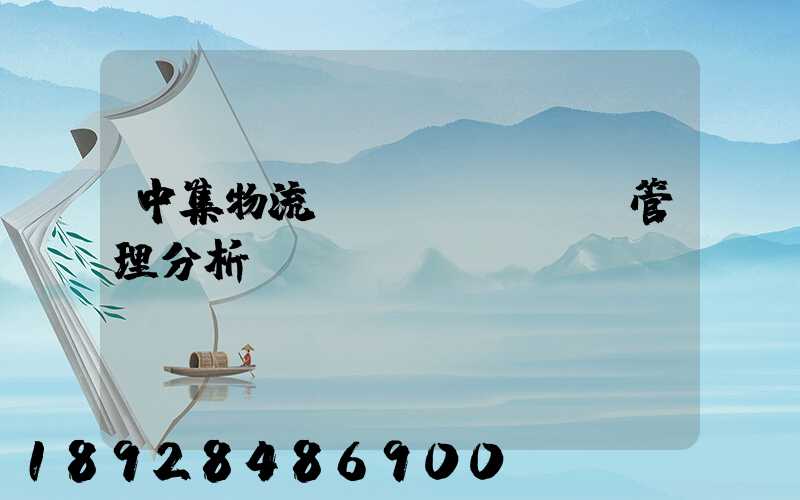 中集物流運(yùn)輸管理分析