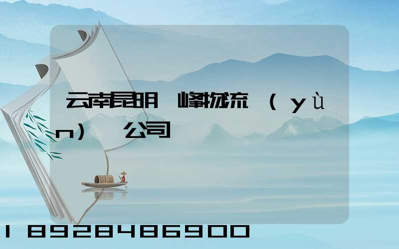 云南昆明頂峰物流運(yùn)輸公司