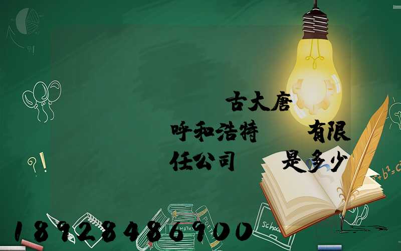 內(nèi)蒙古大唐國(guó)際呼和浩特鋁電有限責(zé)任公司電話是多少