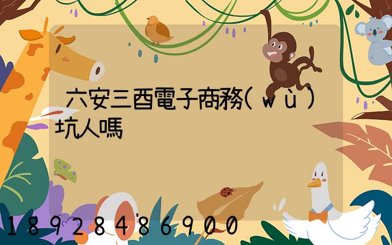 六安三酉電子商務(wù)坑人嗎