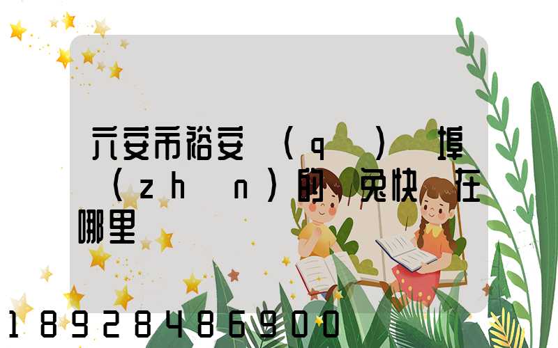 六安市裕安區(qū)蘇埠鎮(zhèn)的極兔快遞在哪里