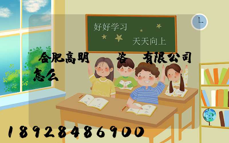 合肥高明貨運咨詢有限公司怎么樣