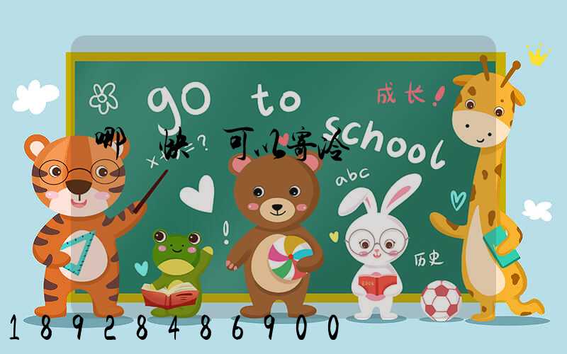 哪個快遞可以寄冷鏈醫藥