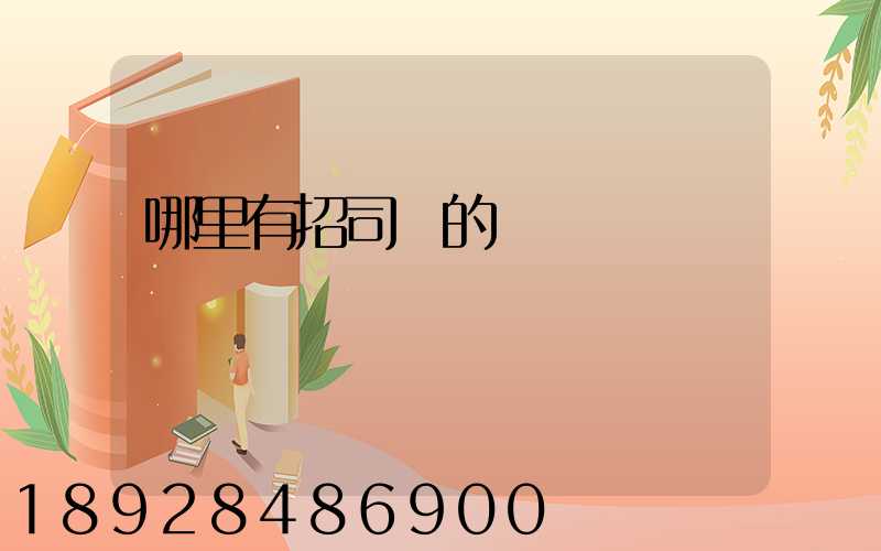 哪里有招司機的