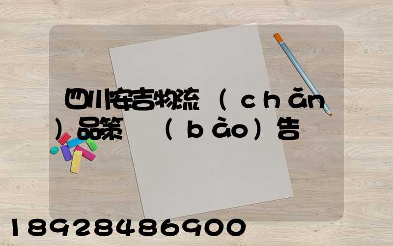 四川安吉物流產(chǎn)品策劃報(bào)告