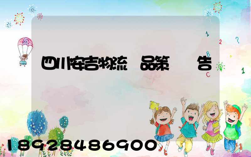 四川安吉物流產品策劃報告