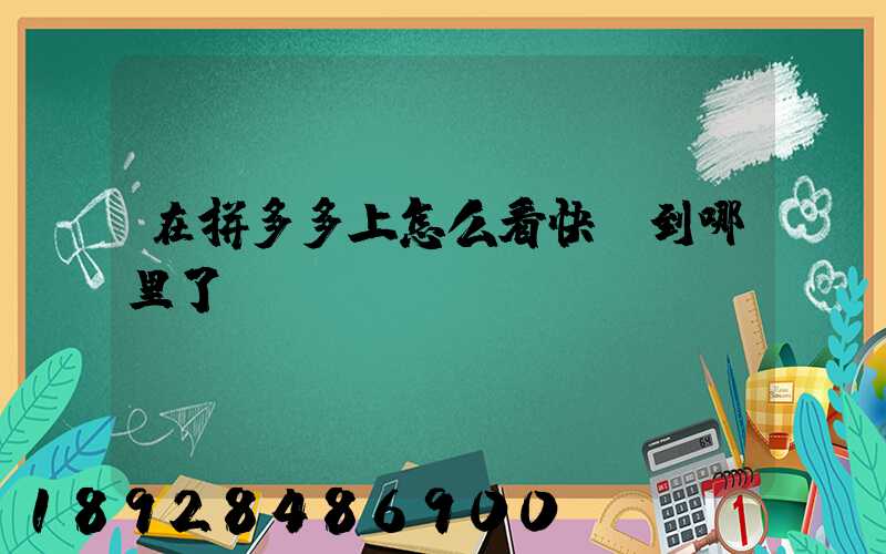 在拼多多上怎么看快遞到哪里了