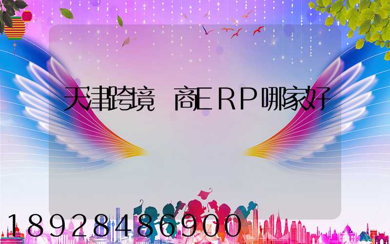 天津跨境電商ERP哪家好