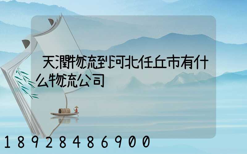 天潤物流到河北任丘市有什么物流公司