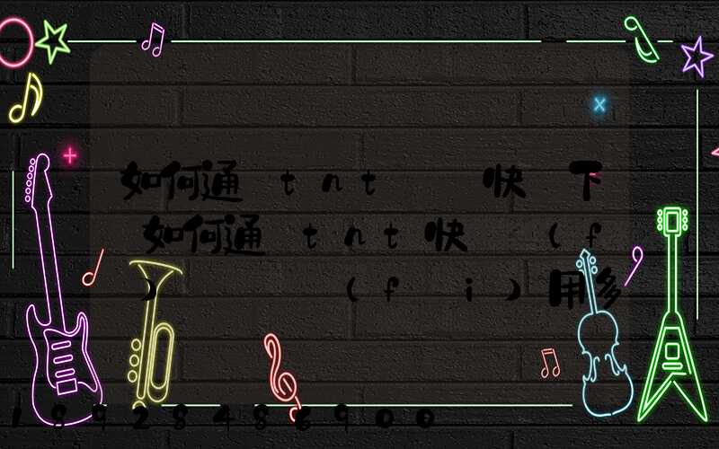 如何通過tnt國際快遞下單如何通過tnt快遞發(fā)貨——費(fèi)用多少