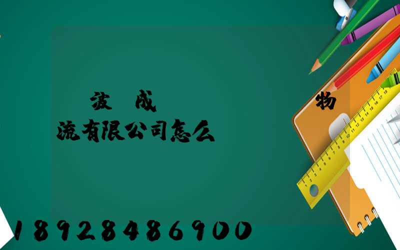 寧波嶸成國(guó)際物流有限公司怎么樣