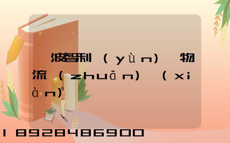 寧波智利運(yùn)輸物流專(zhuān)線(xiàn)