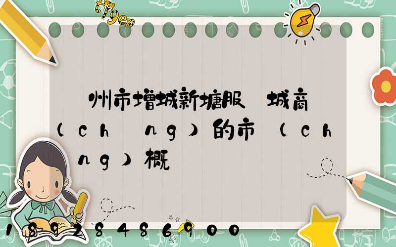 廣州市增城新塘服裝城商場(chǎng)的市場(chǎng)概況