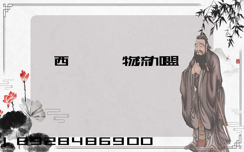 廣西國際運輸物流加盟