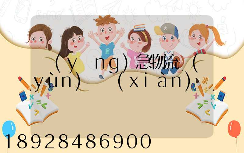 應(yīng)急物流運(yùn)輸現(xiàn)狀