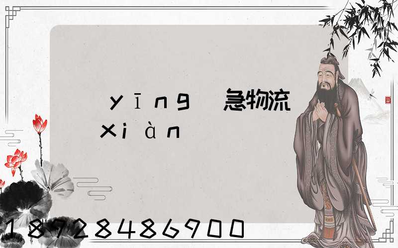應(yīng)急物流運輸現(xiàn)狀