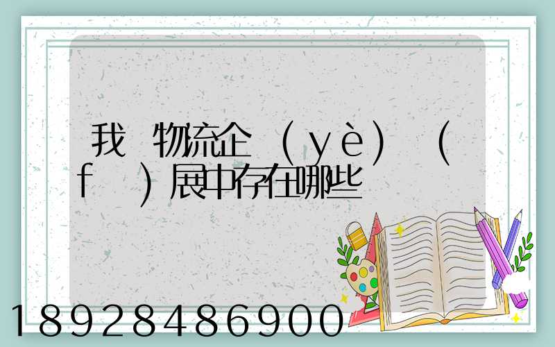我國物流企業(yè)發(fā)展中存在哪些問題