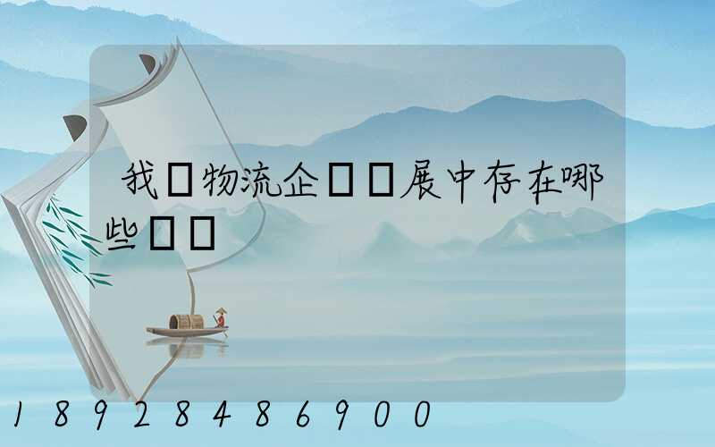 我國物流企業發展中存在哪些問題